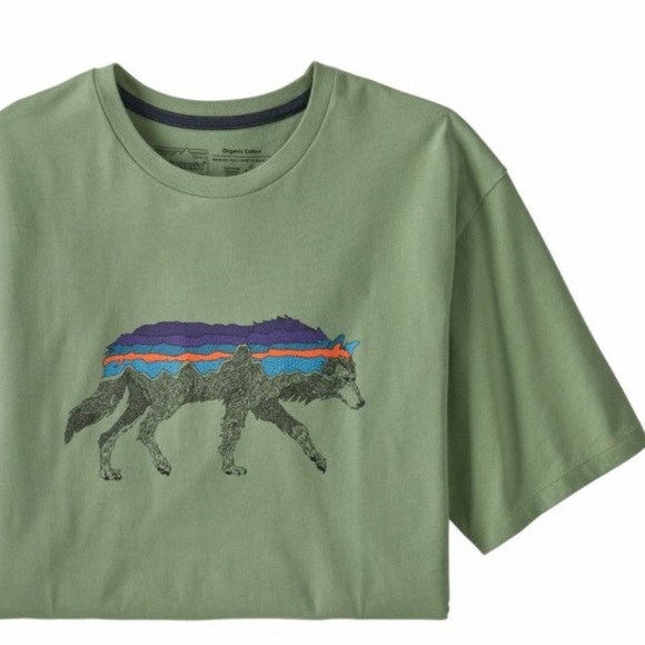 Patagonia Other - Mens PATAGONIA Sedge Green BACK FOR GOOD Organic TEE T-Shirt XS